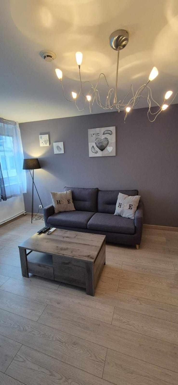 Nouveau !! Appartement Confortable Totalement Renove Avec Parking Gratuit - Hypercentre De Nancy Dış mekan fotoğraf